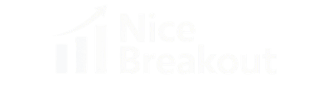 NiceBreakout.com Logo